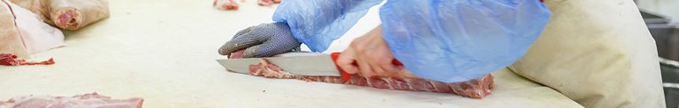 Meat Safety Induction Pilot  