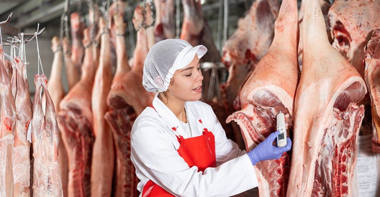 Training Support Materials for Meat Safety Project