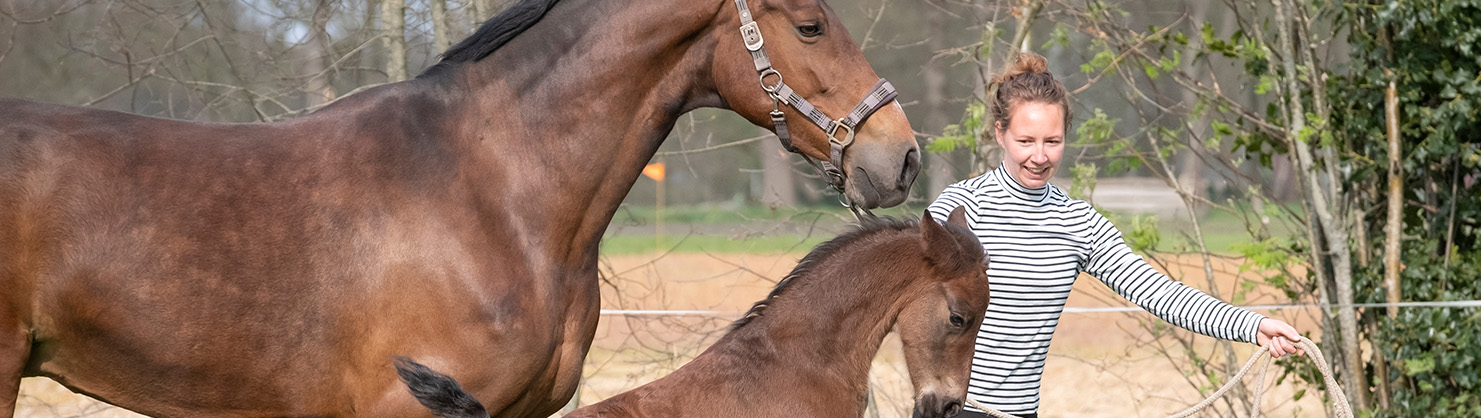 woman runs along side a mare and her foal