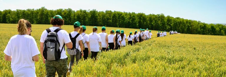 Career pathways for agricultural trades 