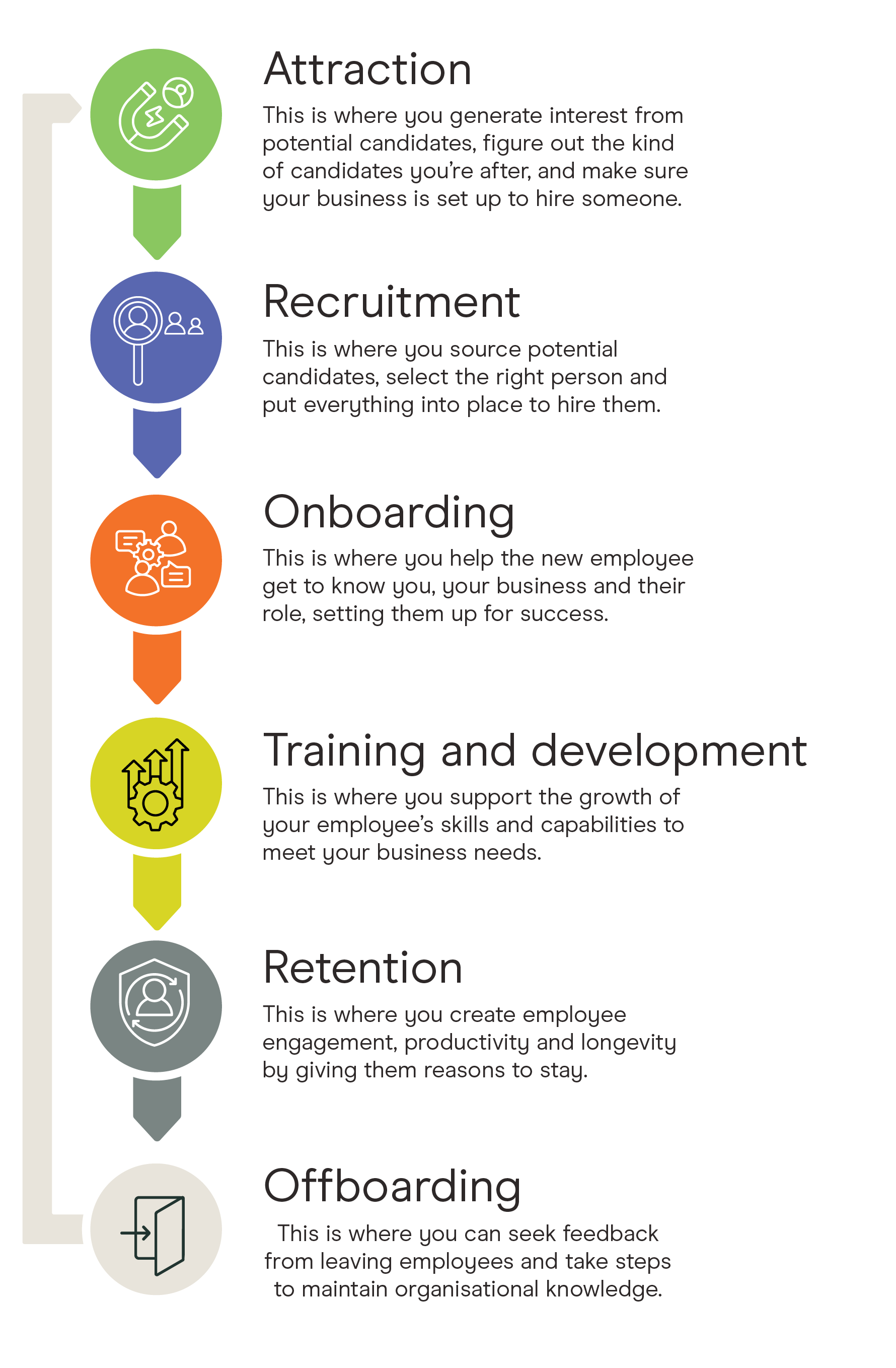 Diagram of the employee lifecycle showing stages from attraction and recruitment through onboarding, development, retention, and separation.