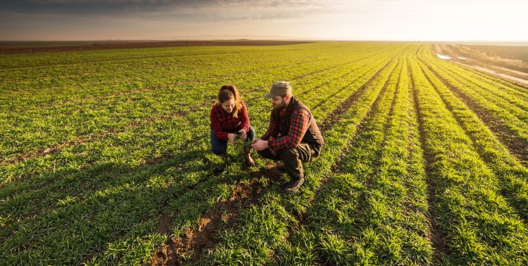 Ag Trade Apprenticeship Qualification