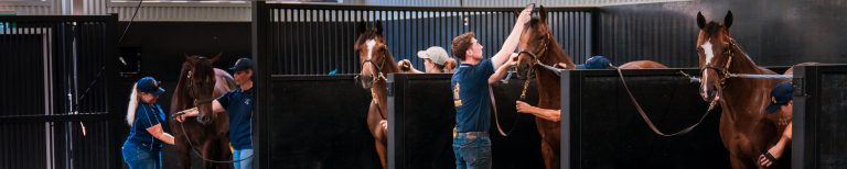 Improved Training Pathways in Racing and Breeding