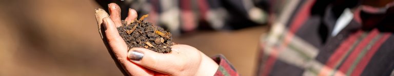 Biosecurity Skills Review