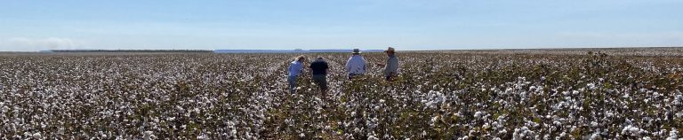 Regional, Rural and Remote VET Policy Decision Making