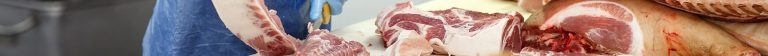 Meat Processing Pathways Project